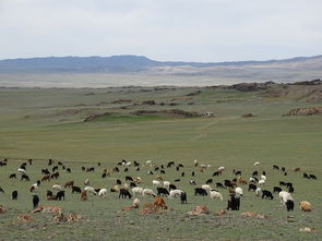 楼面地价和基准地价（楼面地价和基准地价的关系）