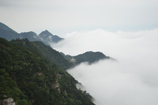 蓝牙耳机哪个牌子音质好（头戴式蓝牙耳机哪个牌子音质好）